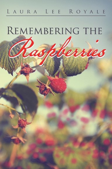 bokomslag Remembering the Raspberries