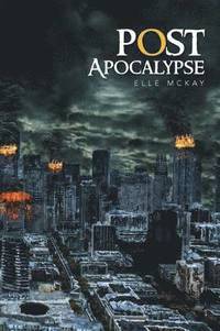 bokomslag Post Apocalypse