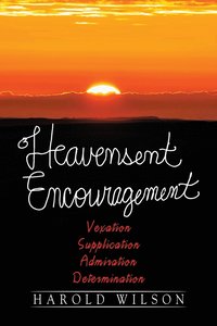 bokomslag Heavensent Encouragement