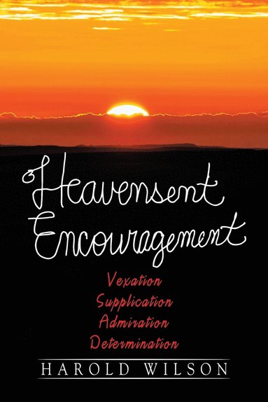 bokomslag Heavensent Encouragement