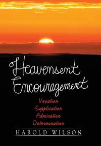 bokomslag Heavensent Encouragement