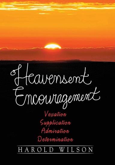 bokomslag Heavensent Encouragement