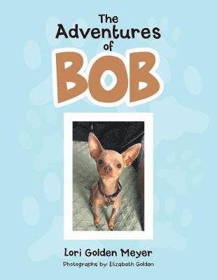 The Adventures of Bob 1