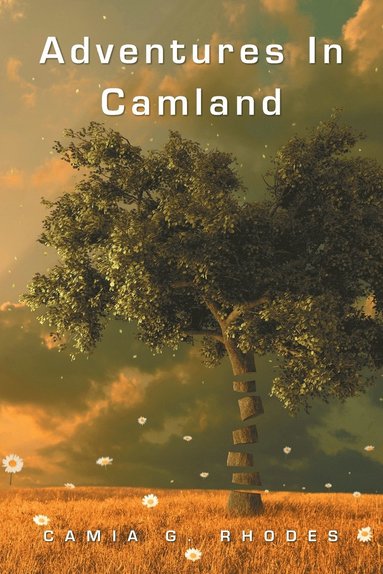 bokomslag Adventures in Camland