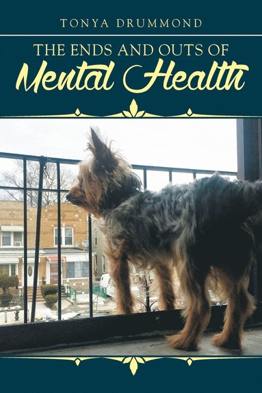 bokomslag Ends and Outs of Mental Health