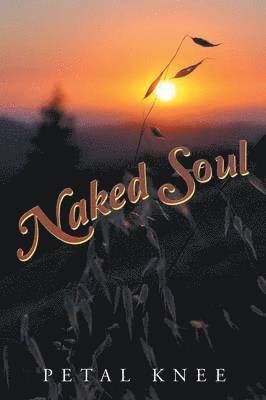 bokomslag Naked Soul