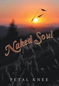 bokomslag Naked Soul