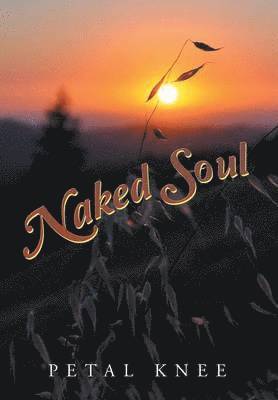 bokomslag Naked Soul