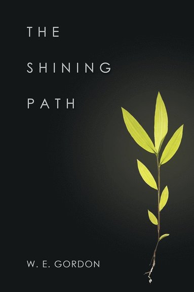 bokomslag Shining Path