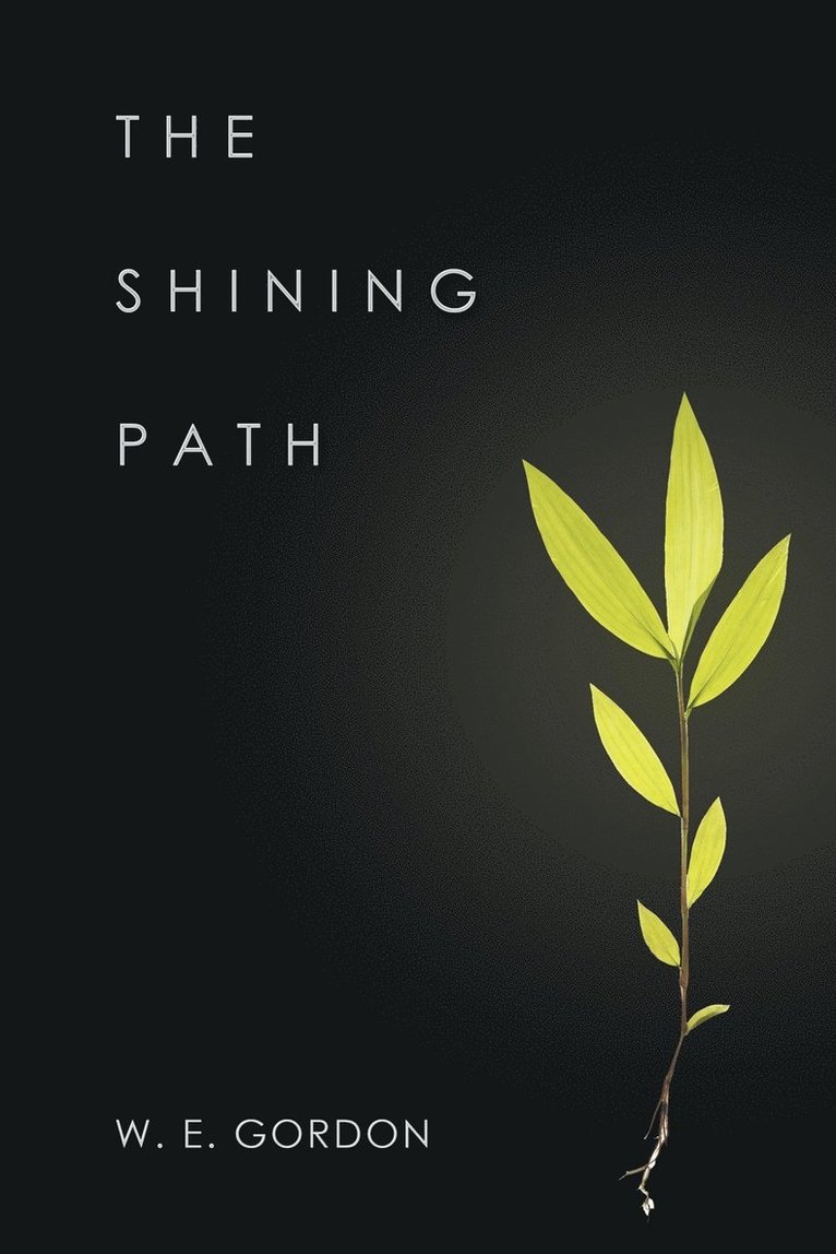 The Shining Path 1