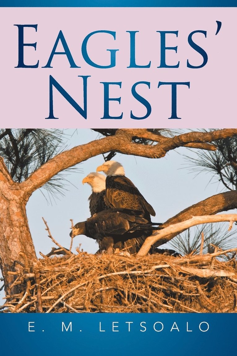 E M Letsoalo - Eagles' Nest, Häftad