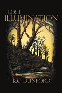 bokomslag Lost Illumination