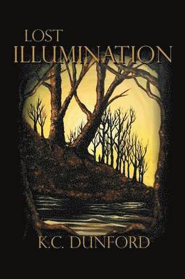 bokomslag Lost Illumination
