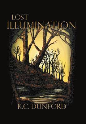 K C Dunford, K. C. Dunford, K.C. Dunford - Lost Illumination, Inbunden