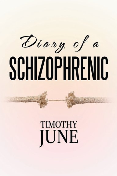 bokomslag Diary of a Schizophrenic