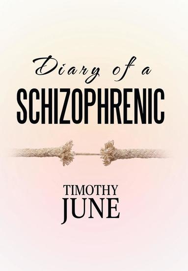 bokomslag Diary of a Schizophrenic