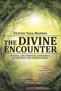 bokomslag The Divine Encounter