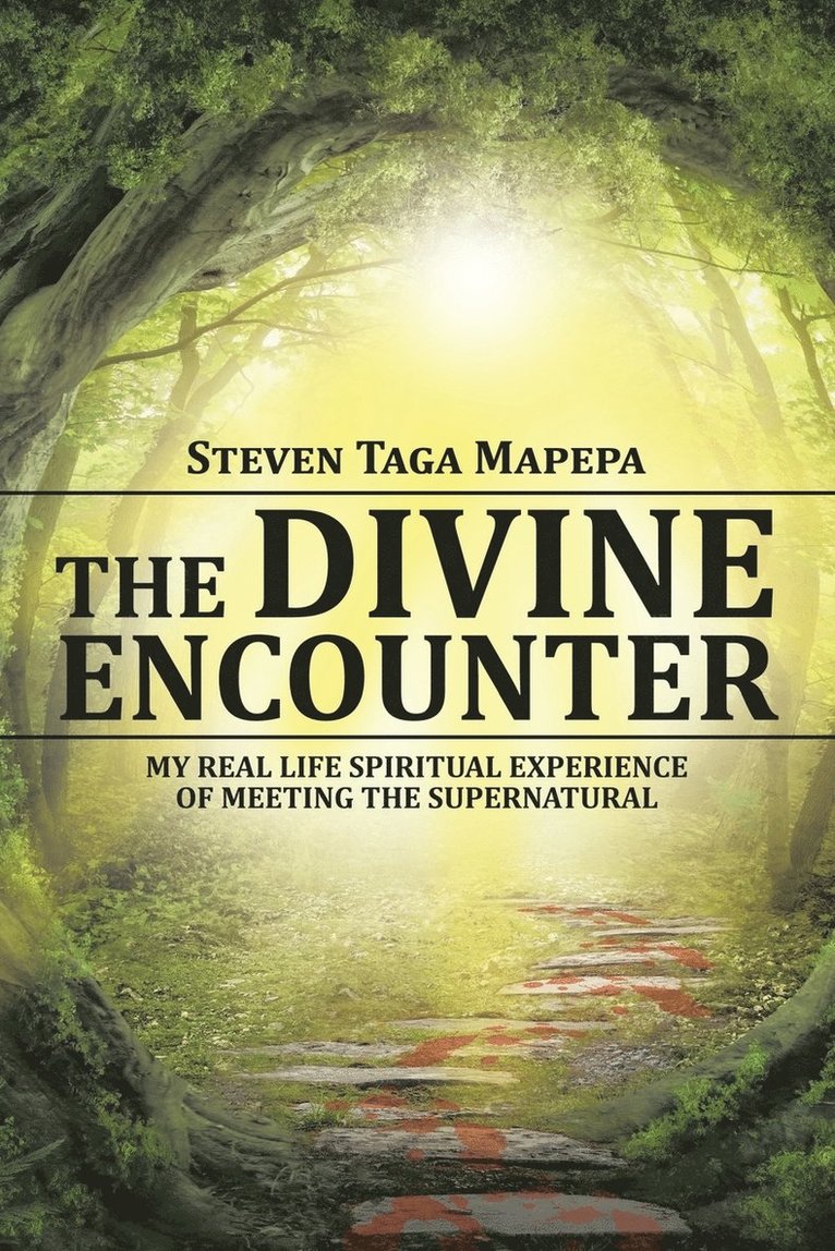 Steven Taga Mapepa - Divine Encounter, Häftad