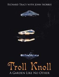 bokomslag Troll Knoll