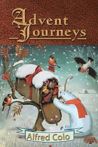 bokomslag Advent Journeys
