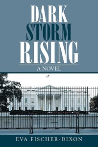 bokomslag Dark Storm Rising
