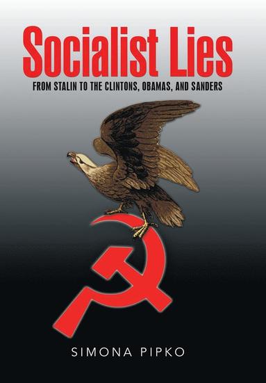 bokomslag Socialist Lies