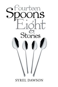 bokomslag Fourteen Spoons Eight Stories