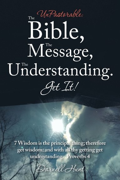 bokomslag UnPastorable