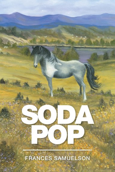 bokomslag Soda Pop