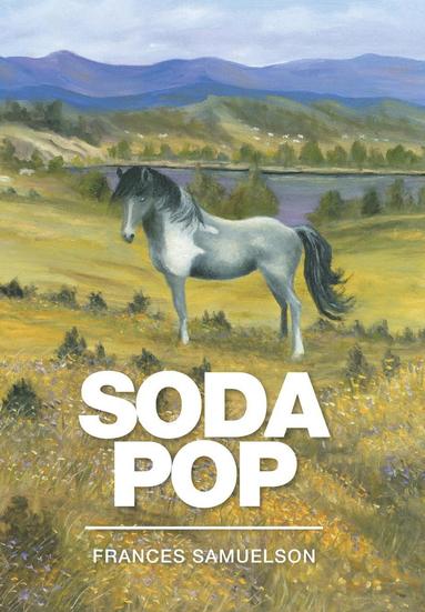 bokomslag Soda Pop