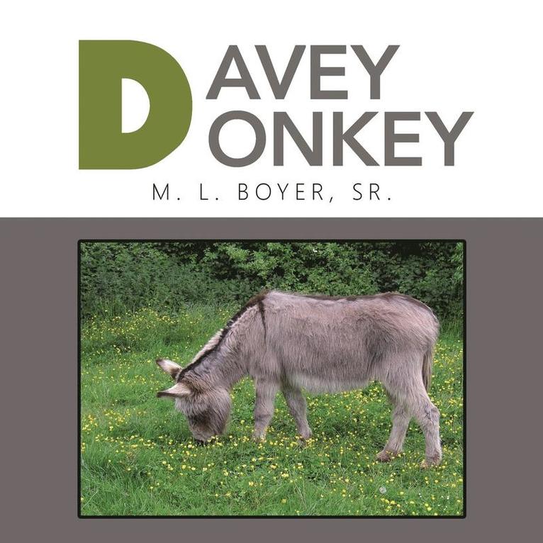 Davey Donkey 1