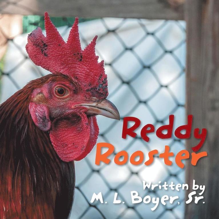 Reddy Rooster 1