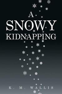bokomslag Snowy Kidnapping