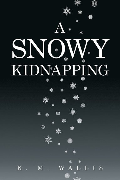 bokomslag Snowy Kidnapping