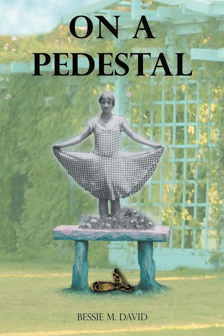 Bessie M David, Bessie M. David, Bessie  M. David - On a Pedestal, Häftad