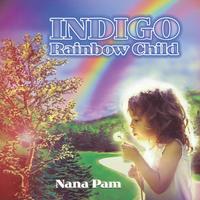 bokomslag Indigo Rainbow Child