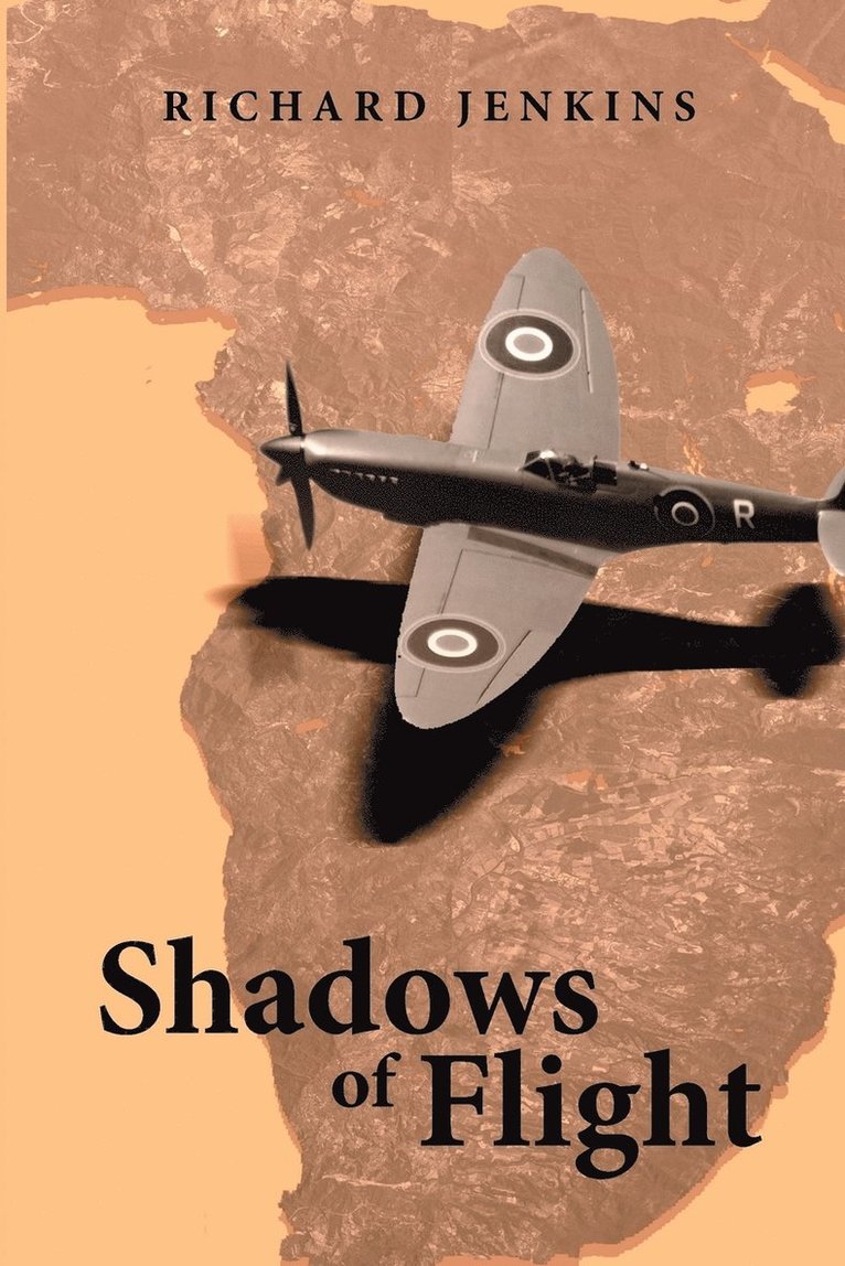 Richard Jenkins - Shadows of Flight, Häftad