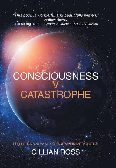 bokomslag Consciousness V Catastrophe