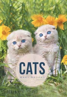Mary Brooks, Mary Brooks, - Cats, Inbunden