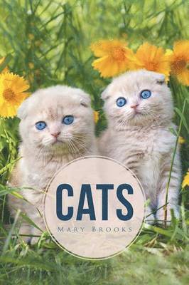 bokomslag Cats
