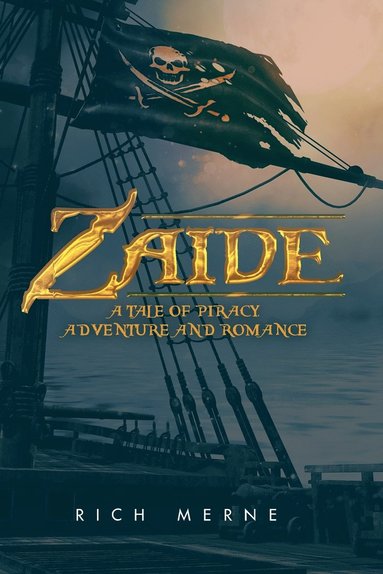 bokomslag Zaide