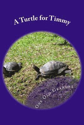One Old Grandpa - A Turtle for Timmy, Häftad