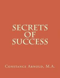 bokomslag Secrets of Success