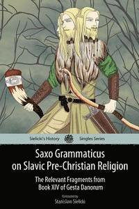 bokomslag Saxo Grammaticus on Slavic Pre-Christian Religion: The Relevant Fragments from Book XIV of Gesta Danorum