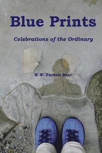 bokomslag Blue Prints: Celebrations of the Ordinary