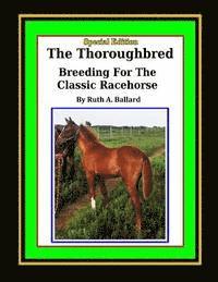 bokomslag The Thoroughbred Breeding For The Classic Racehorse