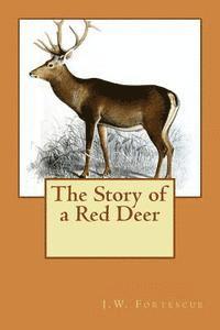 bokomslag The Story of a Red Deer