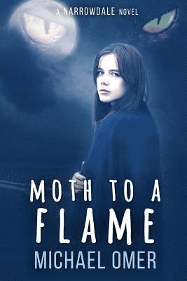 Moth to a Flame 1