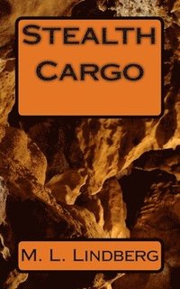 bokomslag Stealth Cargo