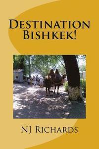 bokomslag Destination Bishkek